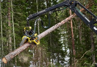 Allskog_DSC1031_web