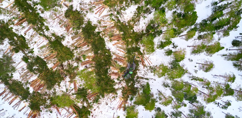 Allskog_DJI_0482_web