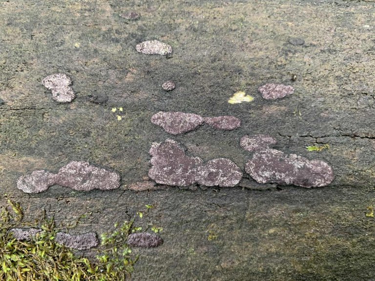 side 4 - almekullsopp.jfif