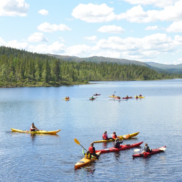 received_472343115375909 kvadrat