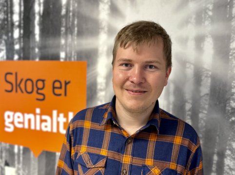 tølløv gravbrøt breddeformat tølløv gravbrøt breddeformat