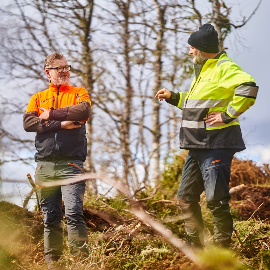 Allskog_DSC8452_web